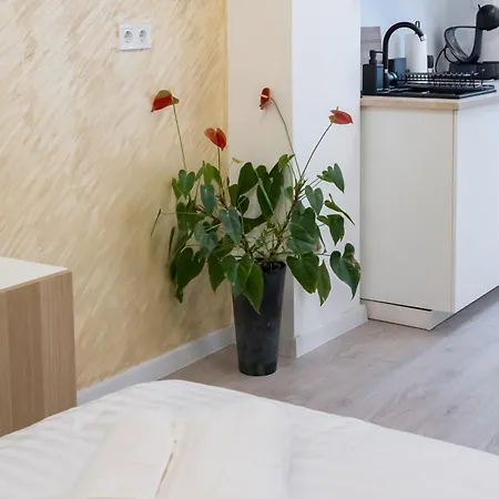 Апартаменти Ivory Concept 65 A *