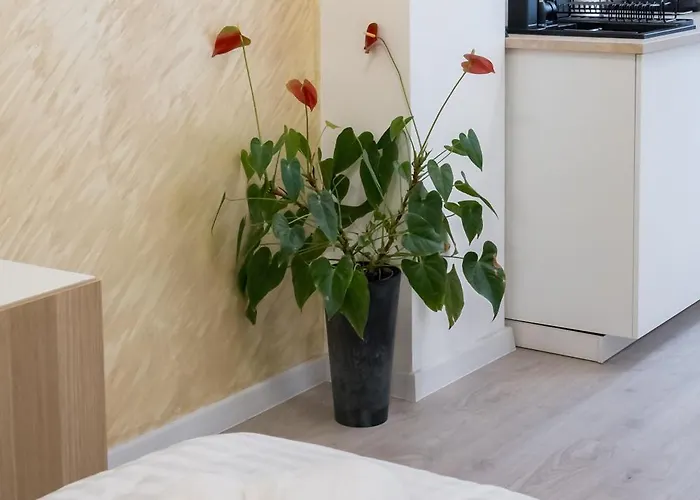 Apartmán Ivory Concept 65 A *